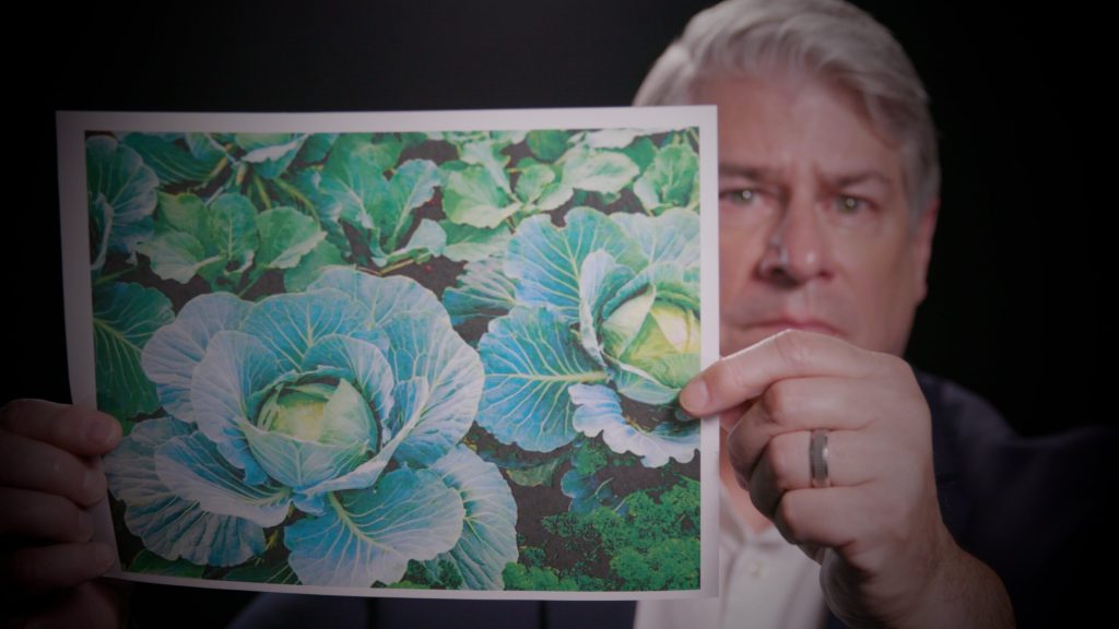 Ex-FDA Official Confirms Existence Of Vegetables