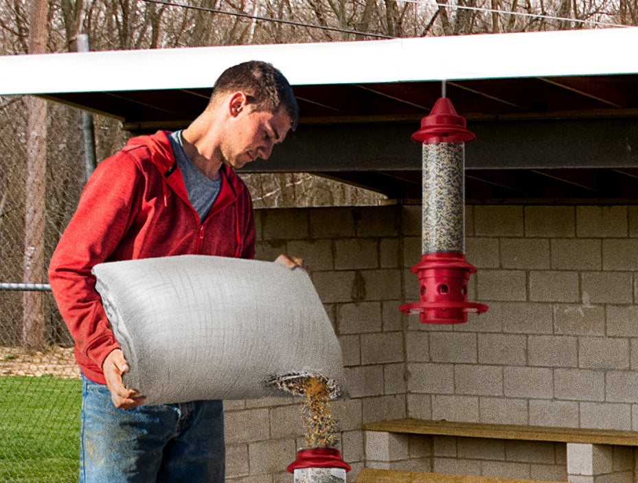 Baseball Coach Pours Sack Of Sunflower Seeds Into Dugout Tube Feeder