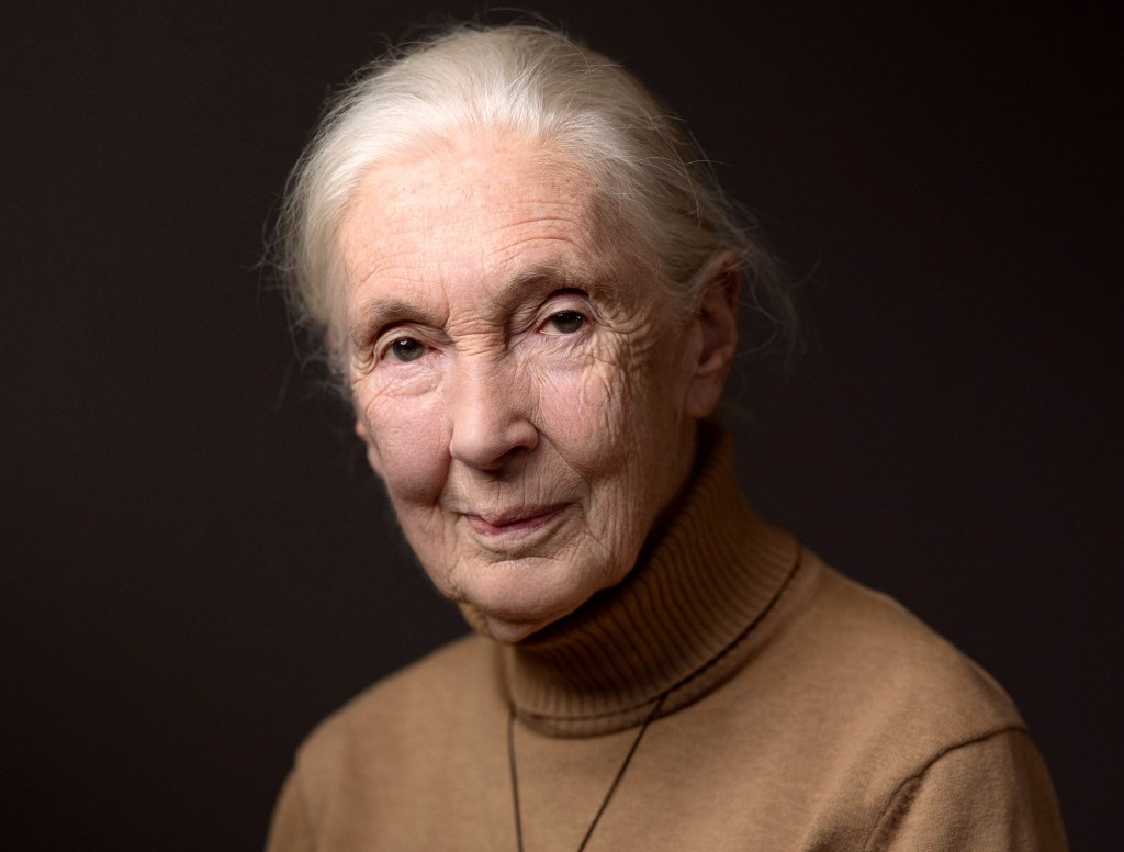 Jane Goodall, Author Of ‘15 Amazing Monkey Facts For Kids,’ Dies At 91