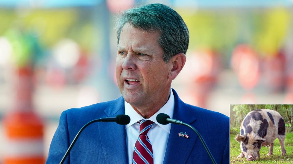 Brian Kemp Unveils Specially Trained Hogs That Can Root Out Voter Fraud