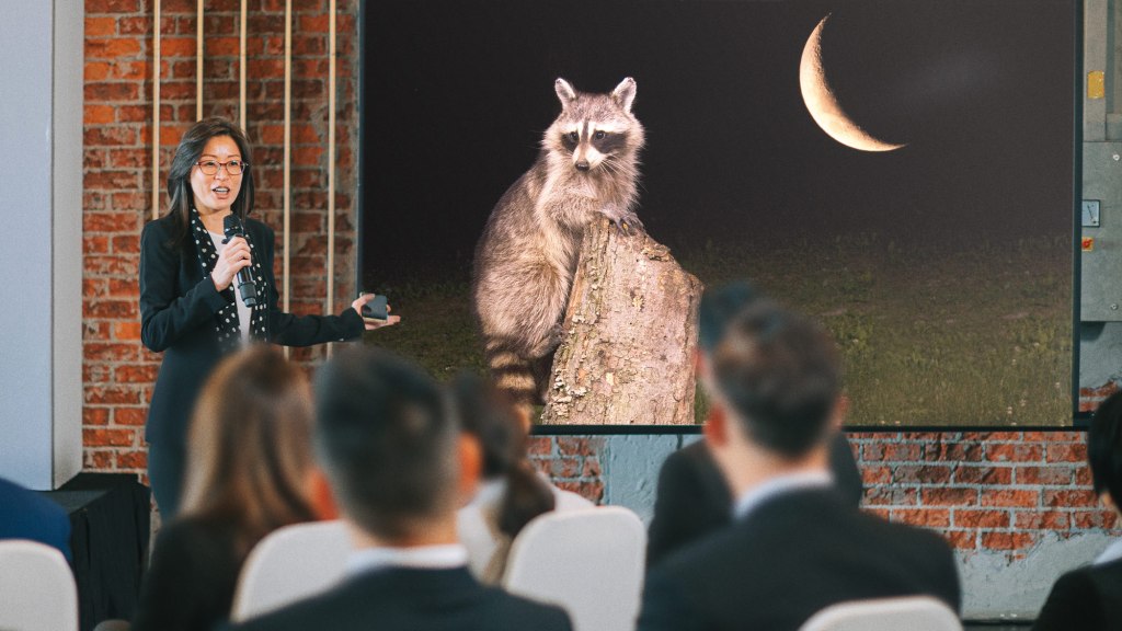 Researchers Determine Moon Serves No Purpose But Alerting Raccoons It Safe To Come Out