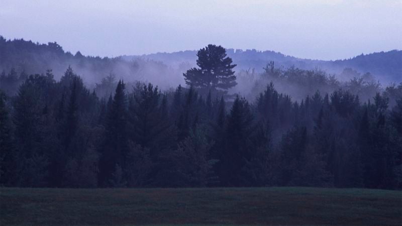 Report: Leading Cause Of Death Still Venturing Beyond The Pines