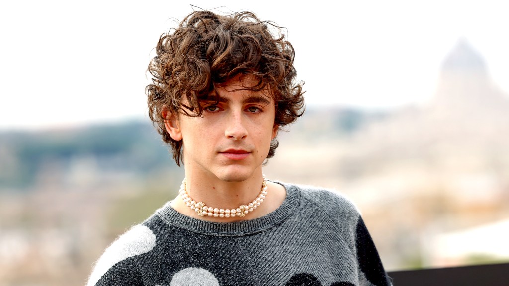 The Onion’s Exclusive Interview With Timothée Chalamet