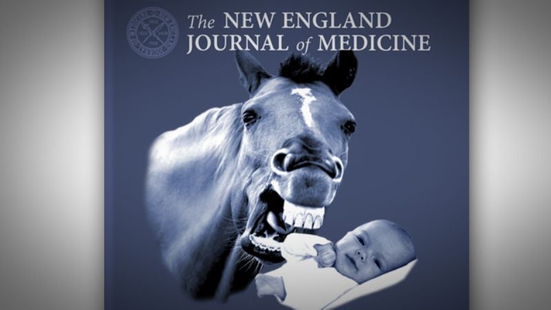 Shocking Report Says Even The Smallest Horse Bite Can Be Harmful To Newborn Babies
