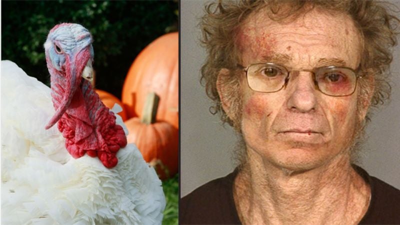 Turkey Pardon Mishap Results In Accidental Release Of Serial Rapist